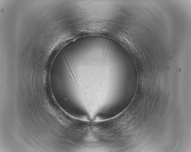 X0000087030735200704301339