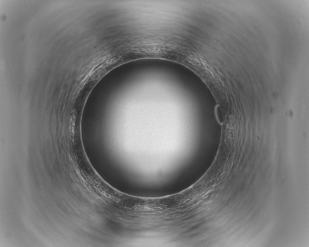X0000087030739200704301339