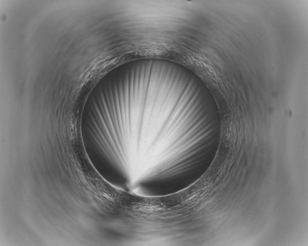 X0000087030743200704301339