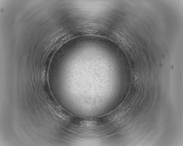 X0000087030745200704301339