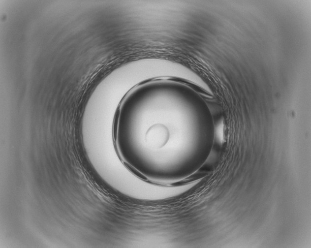 X0000087030750200704301339