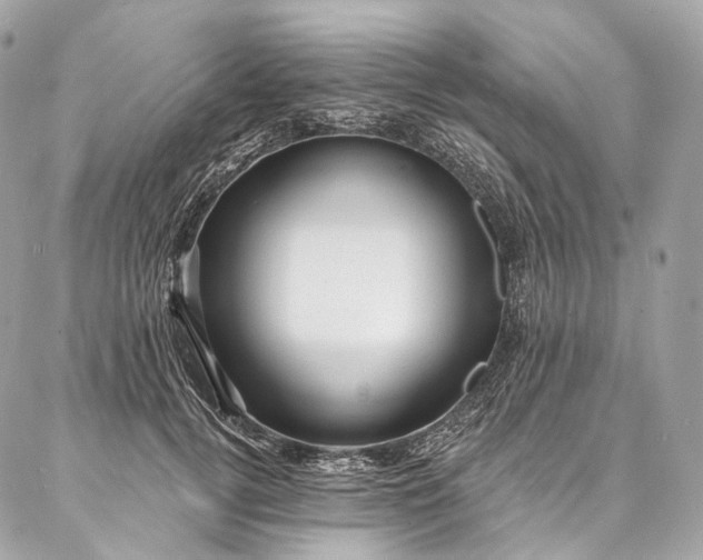 X0000087030752200704301339