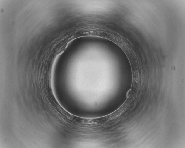 X0000087030754200704301339