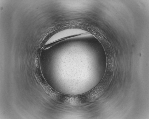X0000087030755200704301339