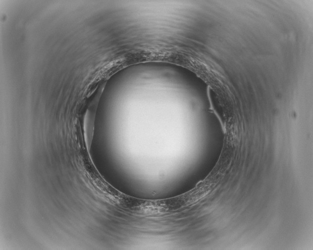 X0000087030756200704301339