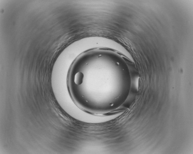 X0000087030766200704301339
