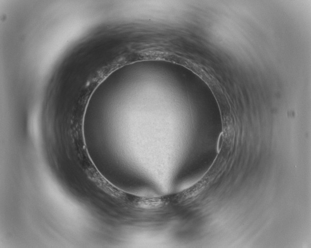 X0000087030767200704301339