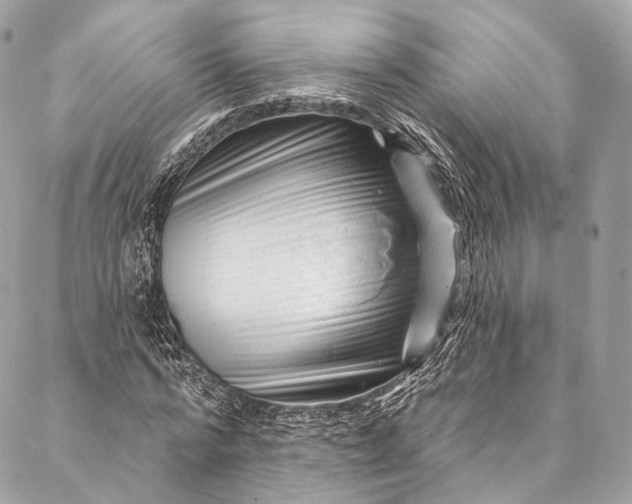 X0000087030776200704301338