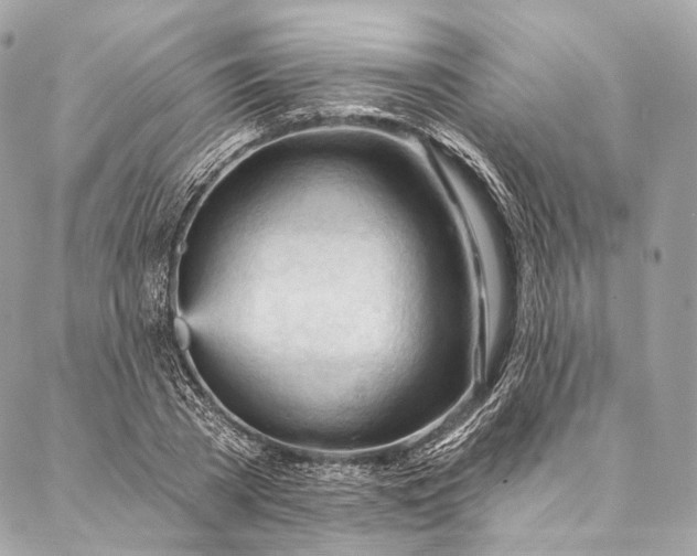 X0000087030785200704301338