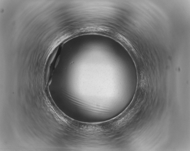 X0000087030786200704301338