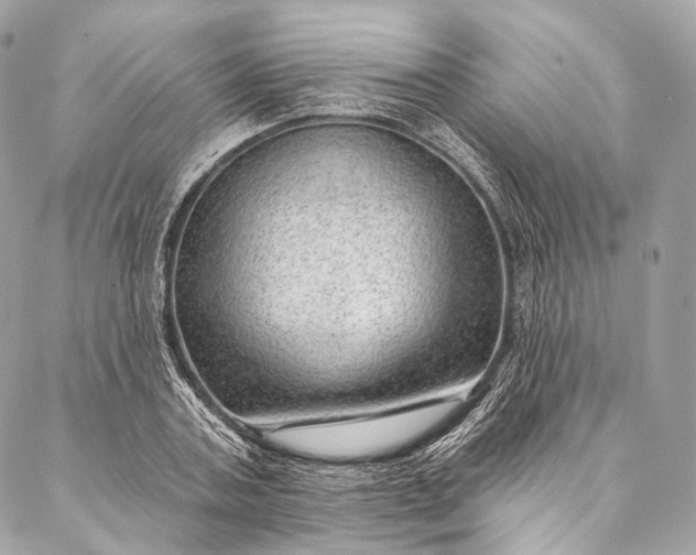 X0000087030787200704301338
