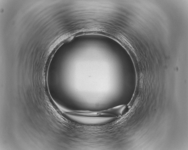 X0000087030789200704301338