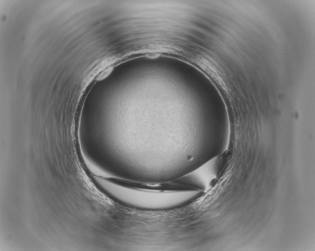 X0000087030797200704301338