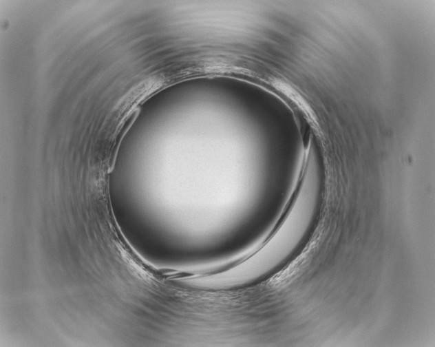 X0000087030801200704301338