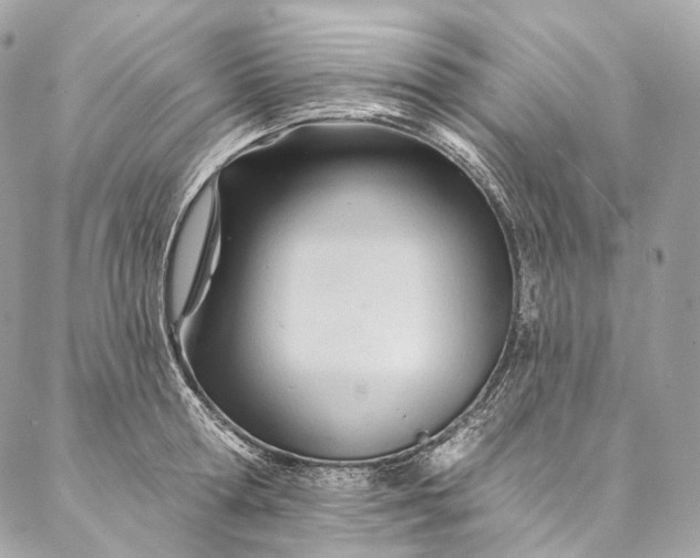 X0000087030802200704301338