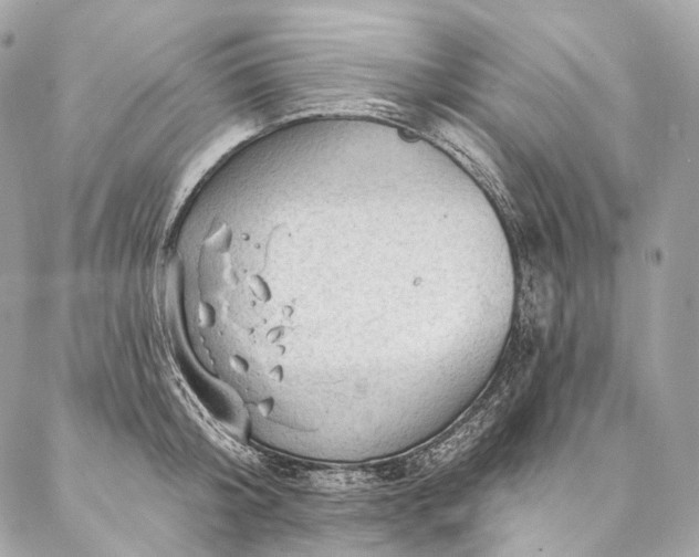 X0000087030804200704301338