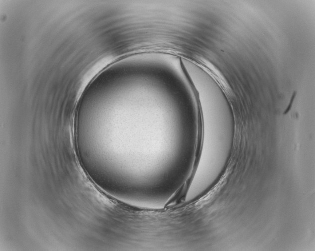 X0000087030812200704301338
