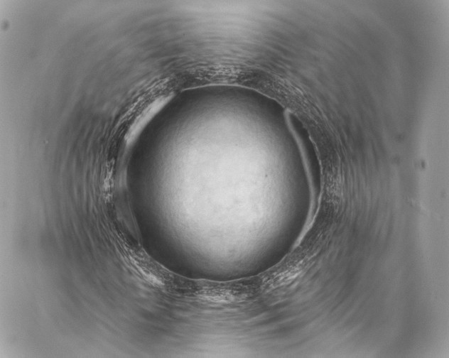 X0000087030818200704301337