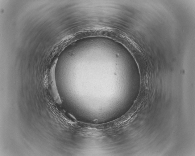 X0000087030821200704301337