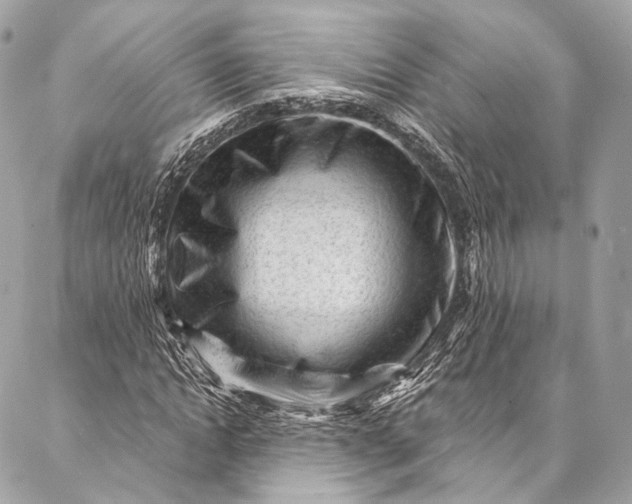 X0000087030822200704301337