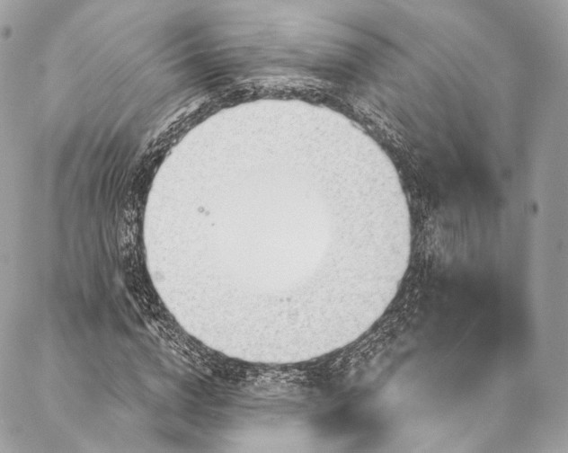 X0000087030824200704301337