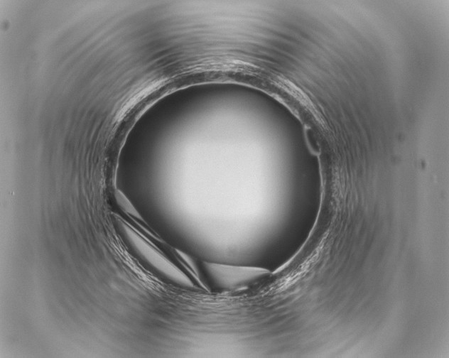 X0000087030826200704301337