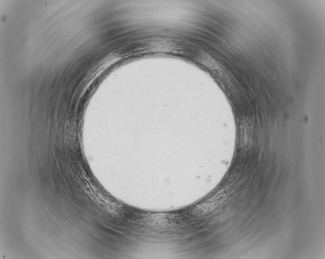X0000087030828200704301337