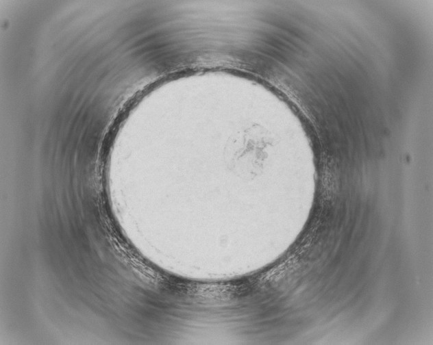X0000087030832200704301337