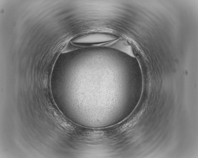 X0000087030833200704301337