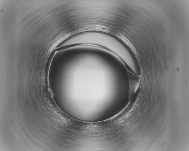 X0000087030834200704301337