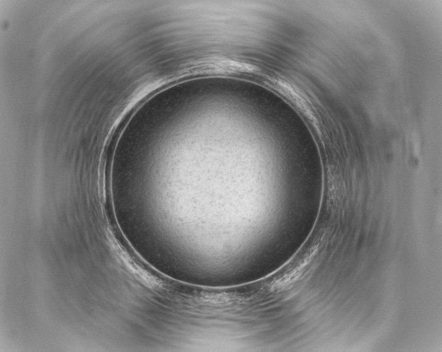X0000087030843200704301337