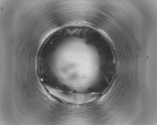 X0000087030846200704301337