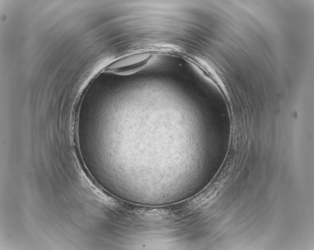 X0000087030851200704301337