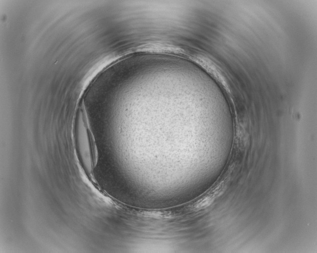 X0000087030855200704301337