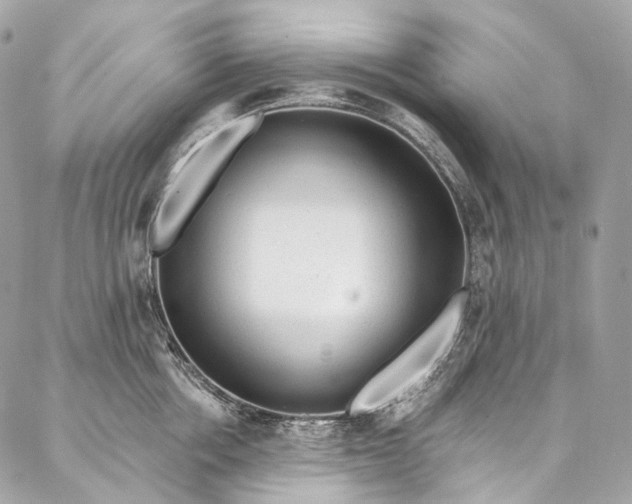 X0000087030858200704301337