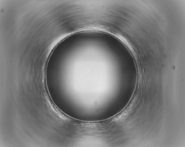X0000087030862200704301337