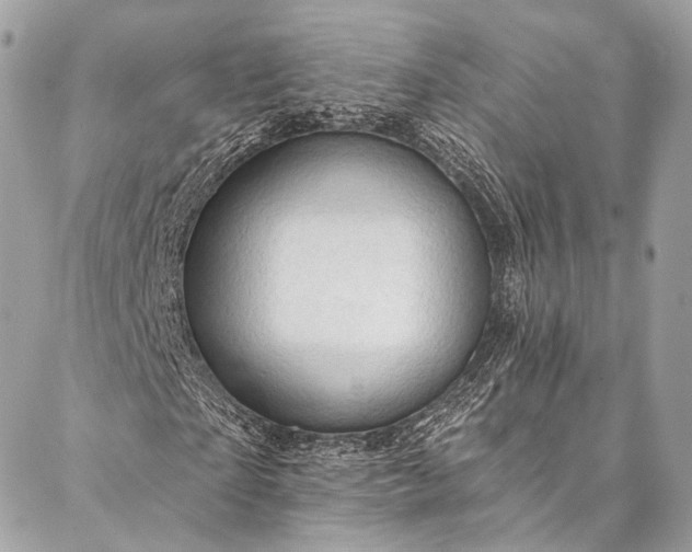 X0000087030865200704301337