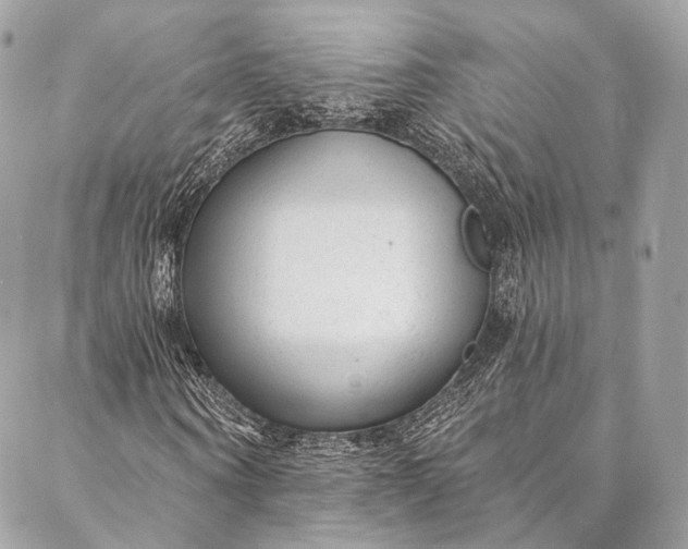 X0000087030866200704301337