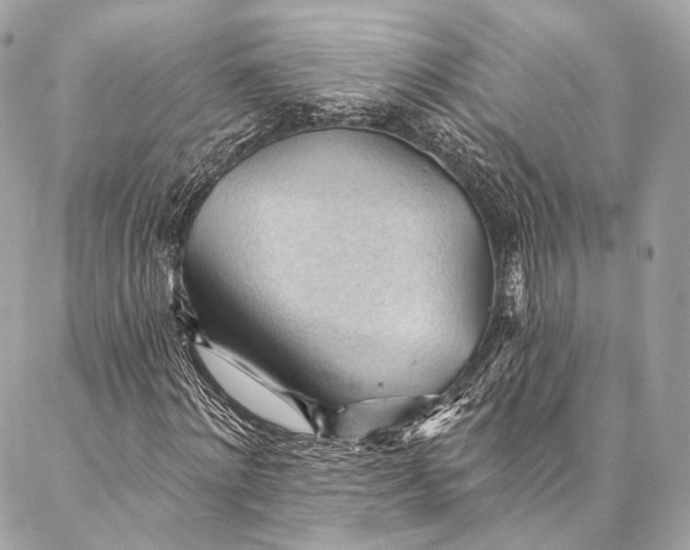 X0000087030868200704301337