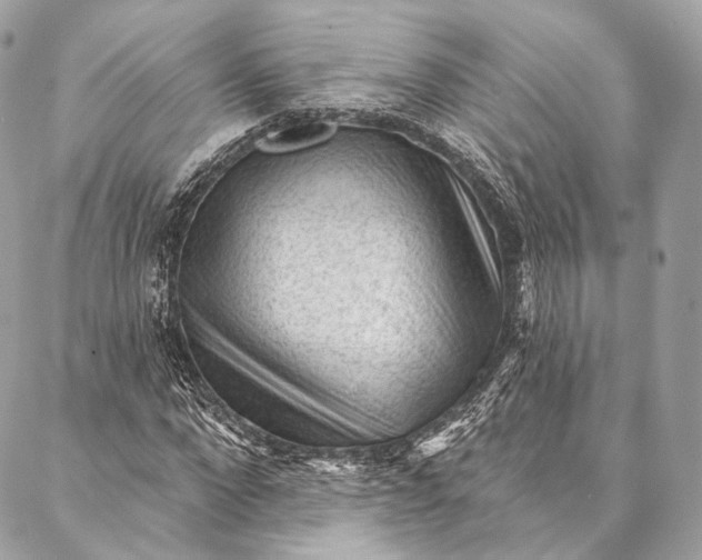 X0000087030872200704301337