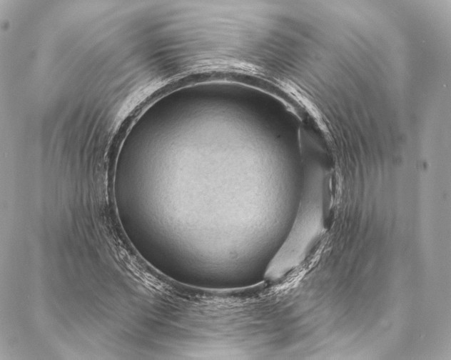 X0000087030877200704301337