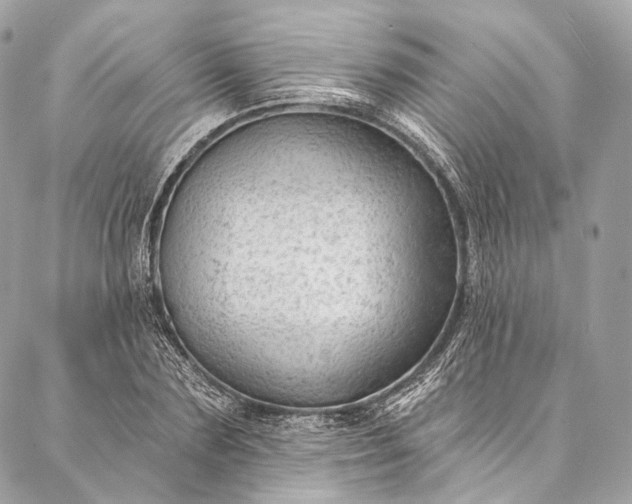 X0000087030883200704301336
