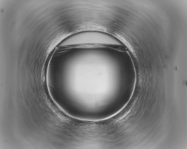 X0000087030885200704301336