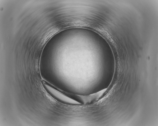 X0000087030889200704301336