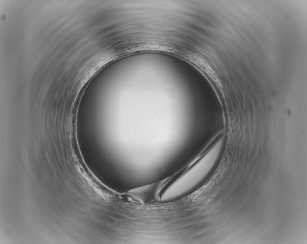 X0000087030898200704301336