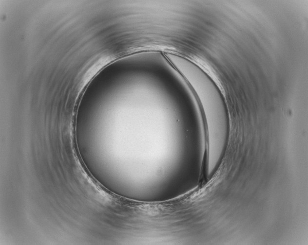 X0000087030906200704301336