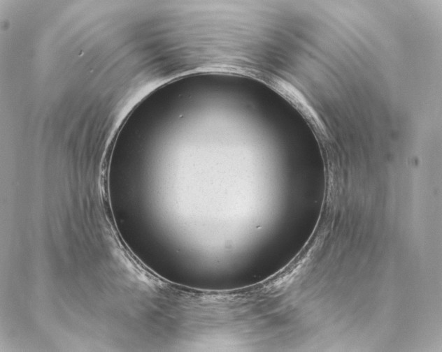 X0000087030908200704301336