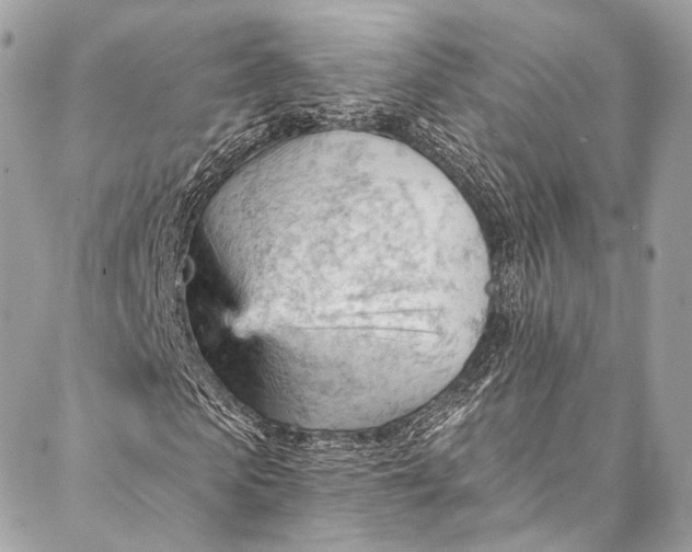 X0000087030913200704301335