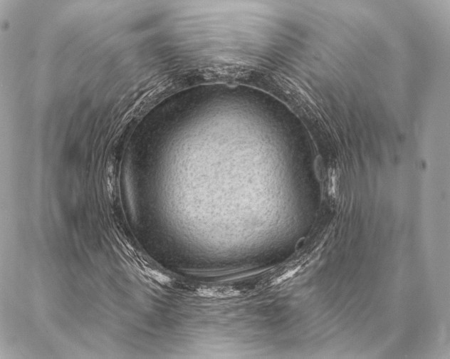 X0000087030915200704301335