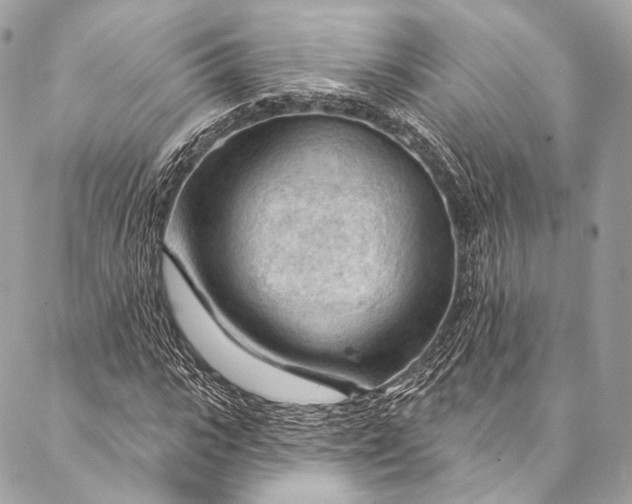 X0000087030919200704301335